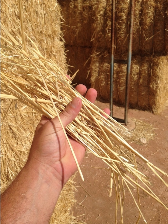 400 Bales of Rye Straw For Sale in 8x4x3's 485Kg's